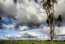 征途国际：早报：这回是真的请到高人了.