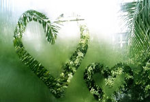 征途国际：意媒：那不勒斯今夏有意齐尔克泽，将与尤文竞争.