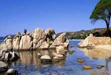 [国足]国足进行赛前踩场 伊万科：不会改变打法.